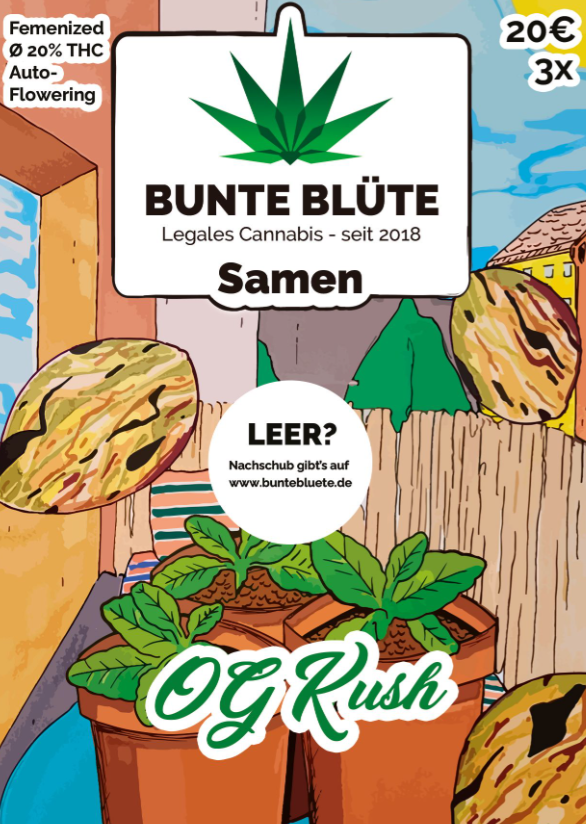 Bunte Blüte THC Cannabissamen "OG Kush" Auto Flowering, 3 Samen